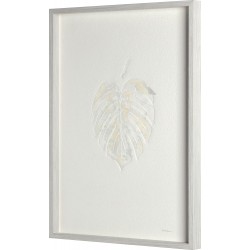 Monstera II