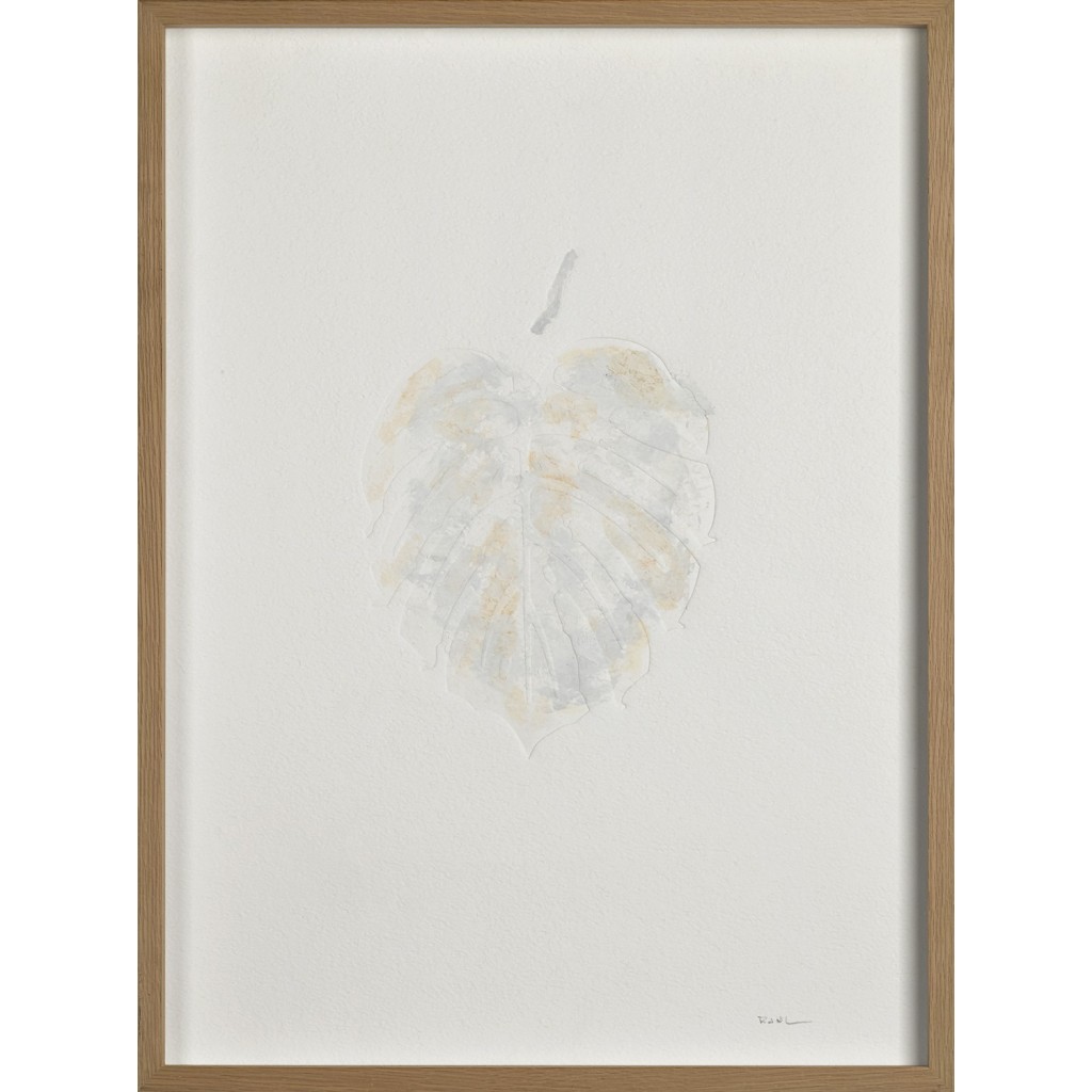 Monstera II