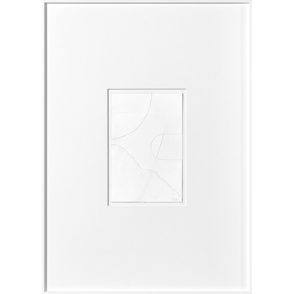 Cotton 02