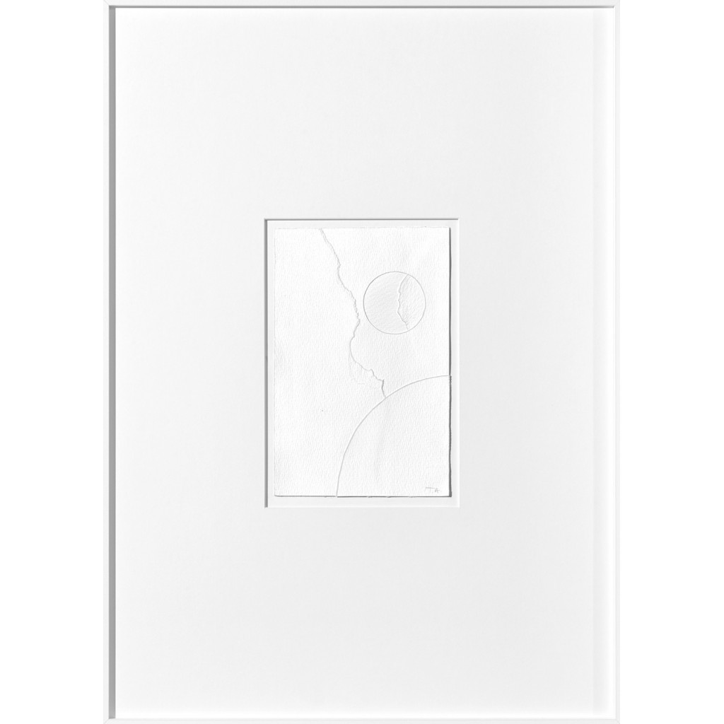 Cotton 04