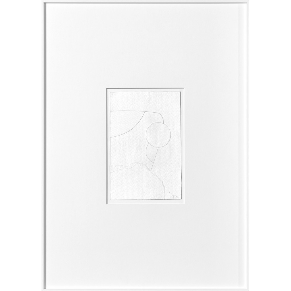 Cotton 01